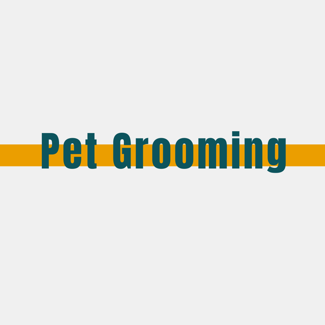 Pet Grooming Wholesale | Shampoo, Clippers, Tools & More